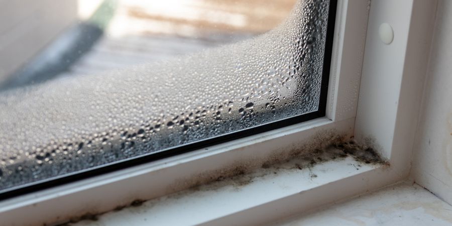 Foto: Schimmel entfernen. Schimmel an Fenster ist zu sehen; das Fenster ist mit Kondenswasser beschlagen.