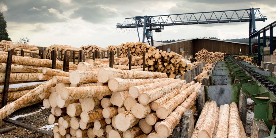 Zertifizierung von Holz mit PEFC, FSC