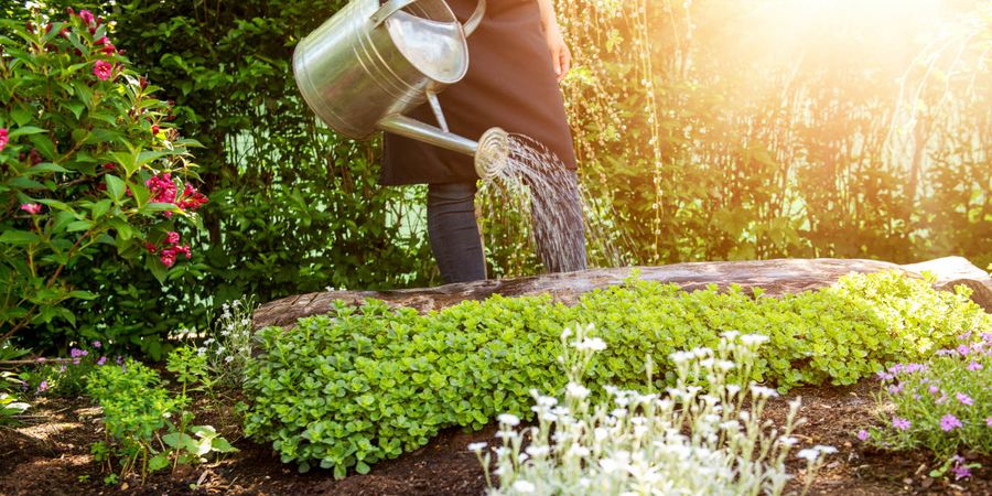 Garten – Gartenpflege mit Gießkanne