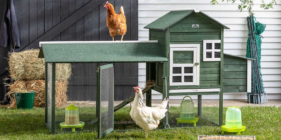 Hühnerhaltung im Selbstversorger Garten