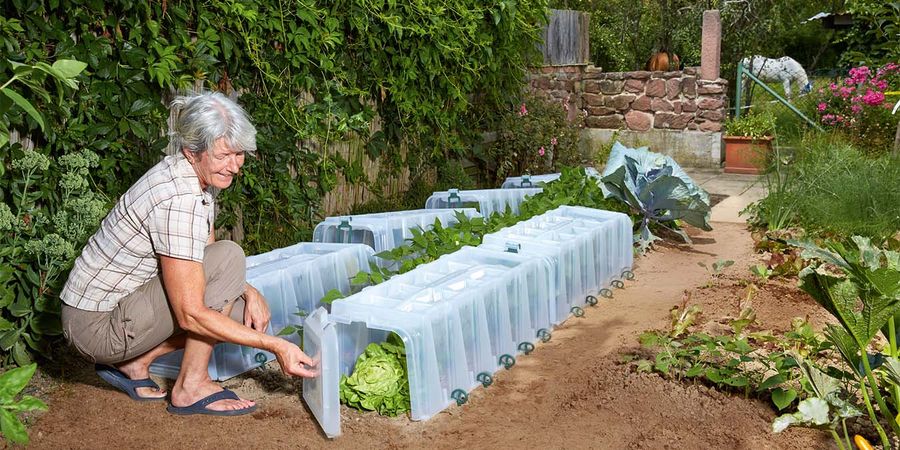 Garten anlegen mit Pflanzenschutz – Garantia