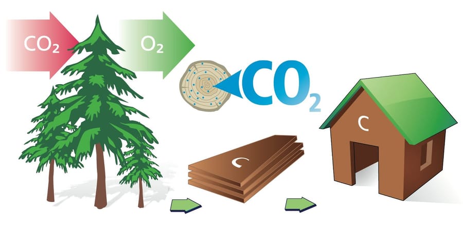 Grafik Holz als CO2-Speicher mit Holzfaserdämmung