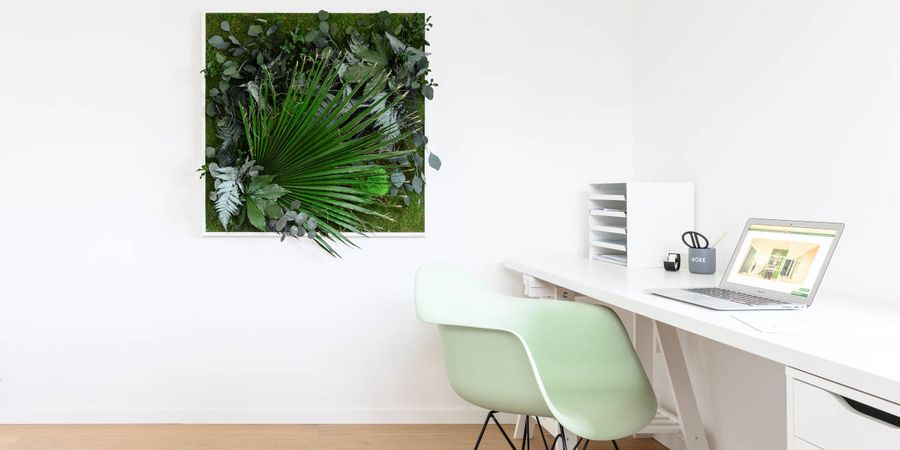 Pflanzenbild vor weißer Wand im Arbeitszimmer