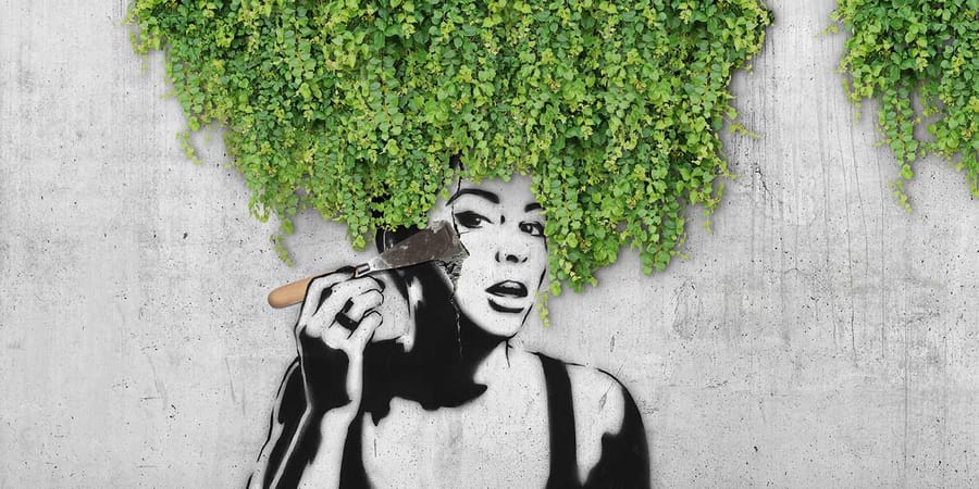 Betonkosmetik Symbolbild: Graffiti auf Beton mit Pflanze als Haare