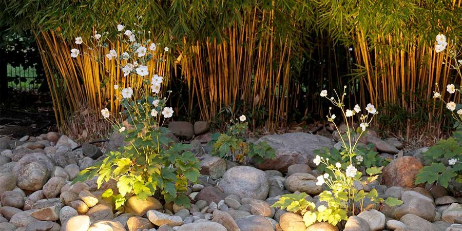 Kleiner Garten mit Kieselsteinen – Gärtner von Eden