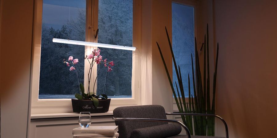 Zimmerpflanzen an einem Fenster im Wohnzimmer