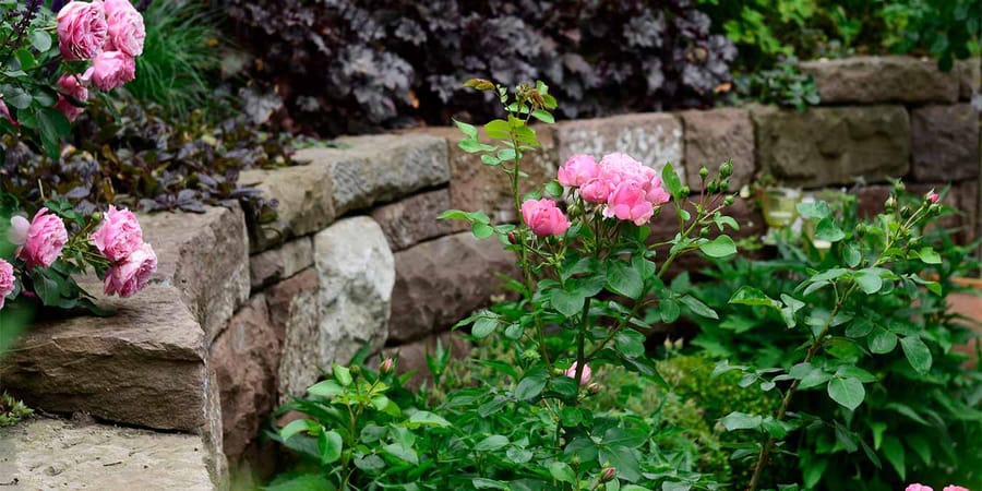 Unterschiedliche Steine als Gestaltungsmaterial für kleine Gärten – Gärtner von Eden