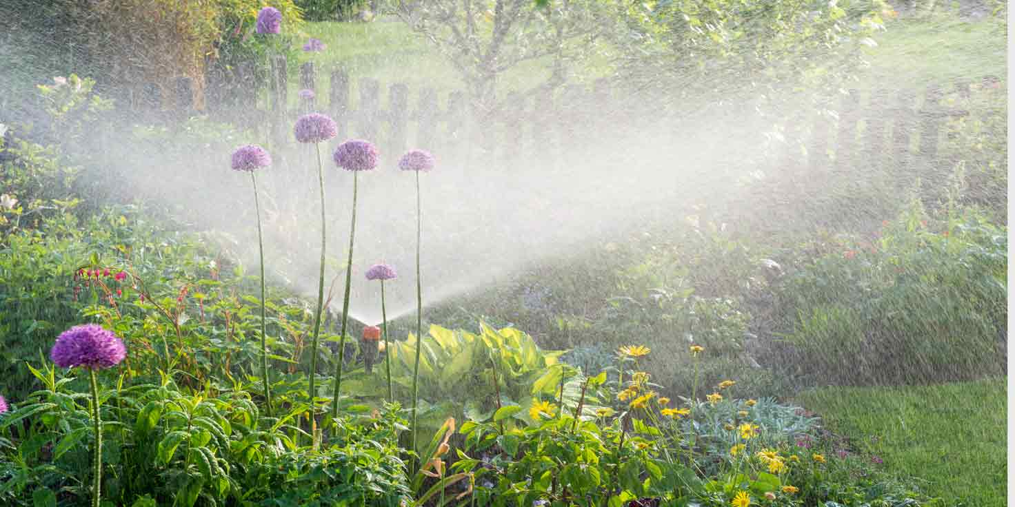 Gartenbewässerung – Foto: Getty/schulzie